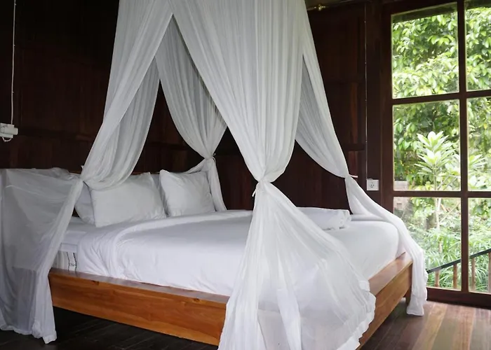 Kebun Kita By Bali