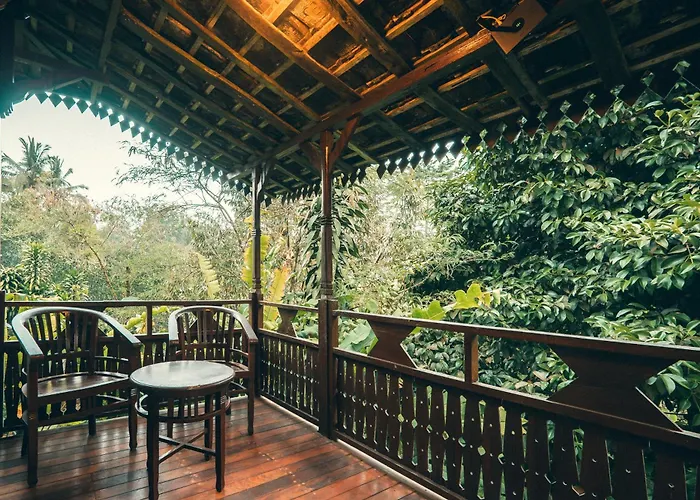 Kebun Kita * Padangan